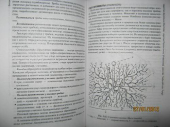 Зайчикова, Барабанов: Ботаника. Учебник