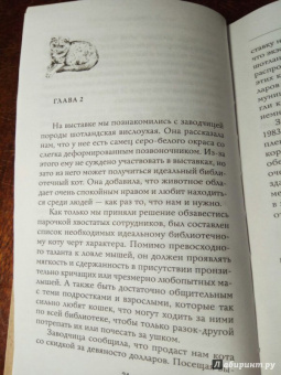 Лоу, Рогак: Коты, вернувшие мне улыбку. История о счастье, книгах и всеобщих любимцах Бейкере и Тейлоре