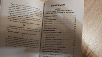 Вишнудевананда Свами: Источник сознания
