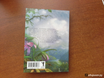 Элизабет Гилберт: Законный брак