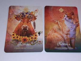 Колетт Барон-Рид: The Spirit Animal Oracle. Духи животных. Оракул, 68 карт и руководство в подарочном оформлении