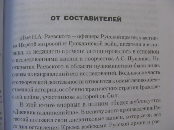 Николай Раевский: Дневник галлиполийца