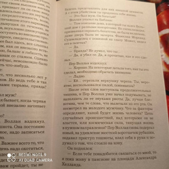 Ю Несбё: Сын