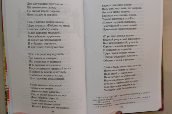 Шота Руставели: Витязь в тигровой шкуре