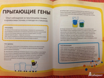 Бьянки, Буджини, Монако: Эксперименты с овощами, фруктами и другими продуктами