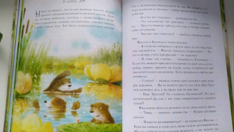 Юлия Симбирская: Фея Фиалка, колдунья Календула и охапка медведей
