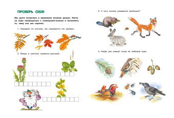 Александр Тихонов: Большая лесная энциклопедия. Знакомимся с природой России