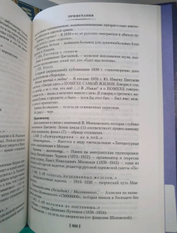 Марина Цветаева: Волшебный фонарь