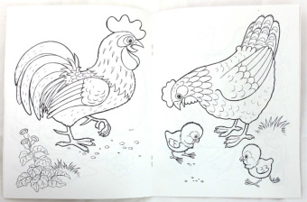 Татьяна Коваль: Домашние любимцы