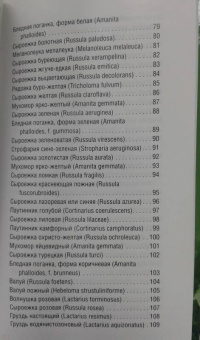 Матанцева, Матанцев: Грибы. Карманный справочник-определитель. Самые распространенные грибы и их двойники