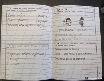 Надежда Жукова: Пропись 3. Для детей 6-8 лет