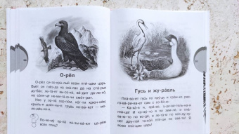 Михалков, Успенский, Чуковский: Первая книга для чтения по слогам