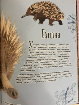 Бен Хоар: Чудеса природы. Энциклопедия