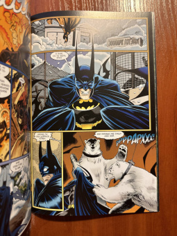 Пол Дини: Бэтмен. Мистер Фриз