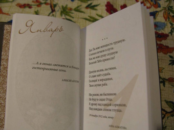 Тихая пристань. Дневник русской поэзии