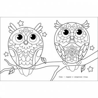 Лариса Маврина: Арт-раскраска для детей. Мандалы. Выпуск 7. Сова