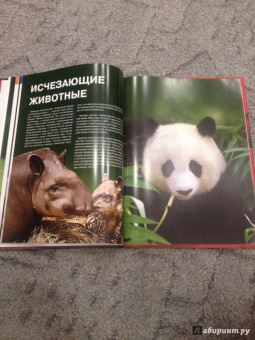 Скалдина, Слиж: Красная книга. Животные мира