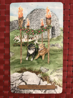 Мюллер, Мюллер: Комплект:  Таро магических собак+Таро Эры Водолея