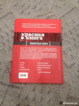 Скалдина, Слиж: Красная книга. Животные мира