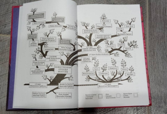 Зорайда Кордова: Наследие Божественной Орхидеи