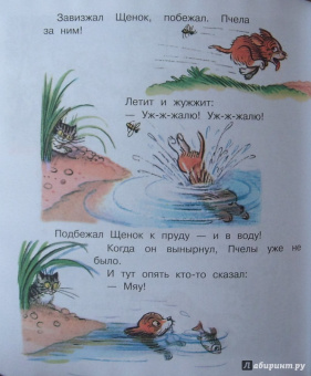 Владимир Сутеев: Загадочные истории