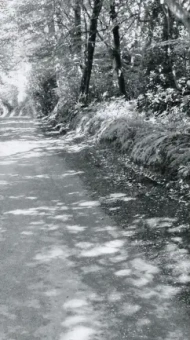 Григорий Кружков: Ракушка на шляпе, или Путешествие по святым местам Атлантиды