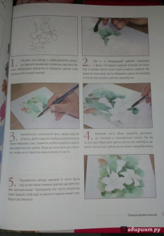 Либралато, Лаптева: Рисуем цветы. Пошаговый самоучитель по рисованию акварелью