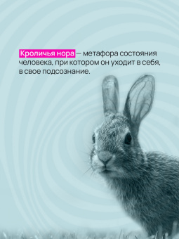 Марк Биллингхэм: Вниз по кроличьей норе