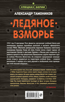 Александр Тамоников: Ледяное взморье