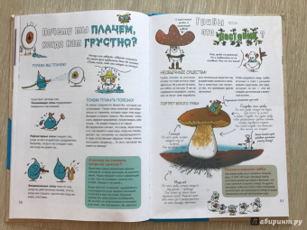 Бейнье, Фишу: Наука не скука. Ученые ответы на детские вопросы