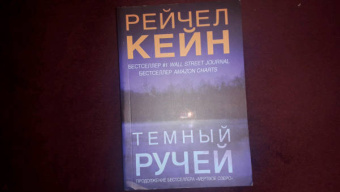 Рейчел Кейн: Темный ручей
