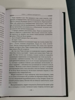 Джим Батчер: Кодекс Алеры. Книга 1. Фурии Кальдерона