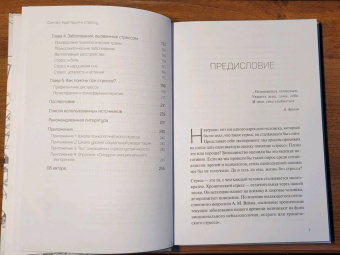 Леонид Чутко: Сил нет. Адаптация к стрессу, или Как остаться здоровым в нездоровом мире