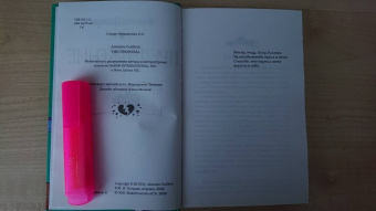 Жасмин Гиллори: Предложение