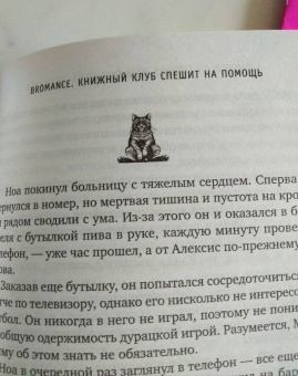 Адамс Кей: Bromance. Книжный клуб спешит на помощь