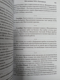 фон Лампе Алексей Александрович: Мой дневник. 1919. Пути верных