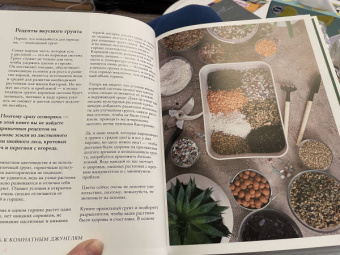 Екатерина Кузнецова: Растущие в темноте. Комнатные растения для укромных уголков вашего дома