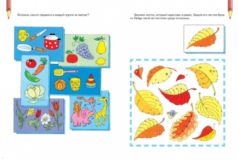 Инна Светлова: Большая книга. Развитие памяти малыша