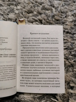 Н. Скоробогатько: "Душу спасти - не лапоть сплести". Опыт современного отечника для мирян