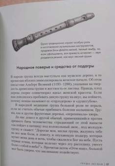 Андреас Хазе: Деревья. Как жизни человека и дерева переплетены друг с другом