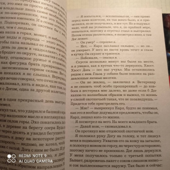 Ю Несбё: Королевство