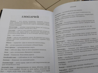 Садхгуру: Смерть
