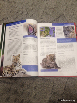 Скалдина, Слиж: Красная книга. Животные мира