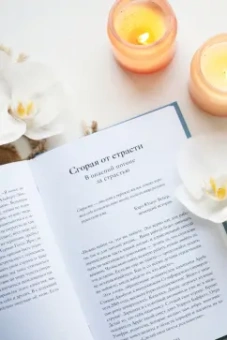 Леон Виндшайд: Что делает нас людьми. Как понимать свои эмоции и принимать их