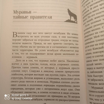 Петер Воллебен: Тайные связи в природе