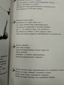 Муджи: Белый огонь. Духовные Откровения и Указатели Мастера Адвайты