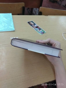 Джером Сэлинджер: Над пропастью во ржи