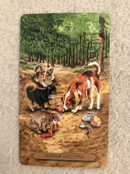 Конуэй, Найт, Мюллер: Комплект:  Таро магических собак+Таро Изменения Формы