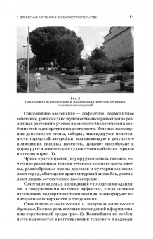 Древесные растения в ландшафтном проектировании и инженерном благоустройстве территории