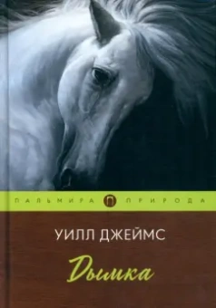 Уилл Джеймс: Дымка
